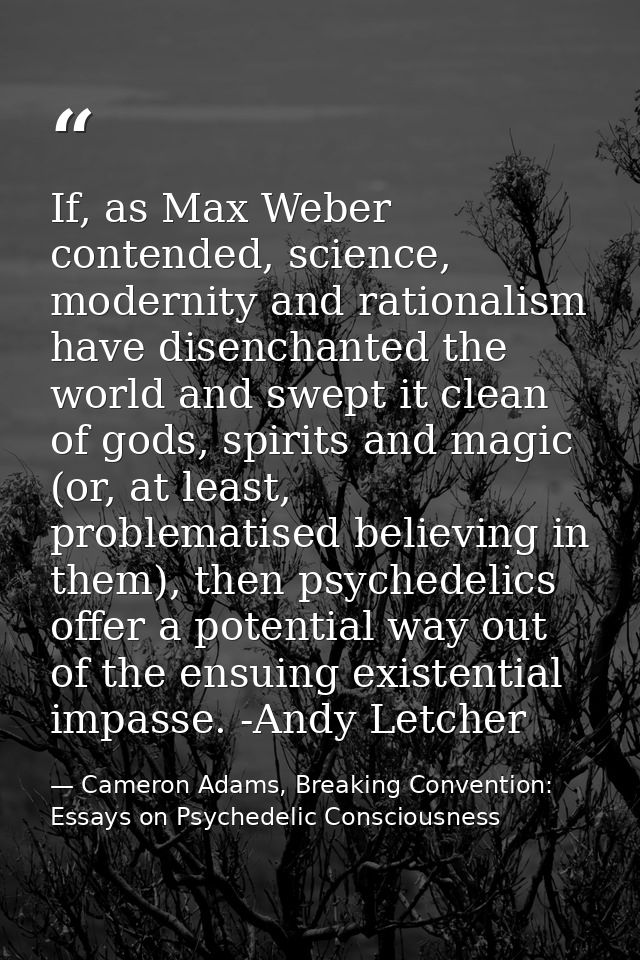 If, as Max Weber contended, science, modernity and rationalism have disenchanted the world and swept it clean of gods, s — Cameron Adams, Breaking Convention: Essays on Psychedelic Consciousness