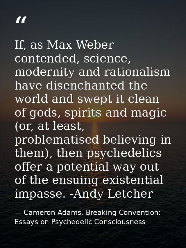 If, as Max Weber contended, science, modernity and rationalism have disenchanted the world and swept it clean of gods, s — Cameron Adams, Breaking Convention: Essays on Psychedelic Consciousness