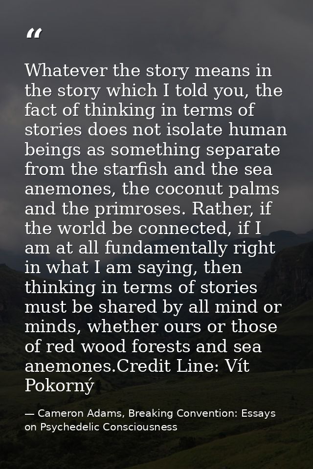 Whatever the story means in the story which I told you, the fact of thinking in terms of stories does not isolate human  — Cameron Adams, Breaking Convention: Essays on Psychedelic Consciousness
