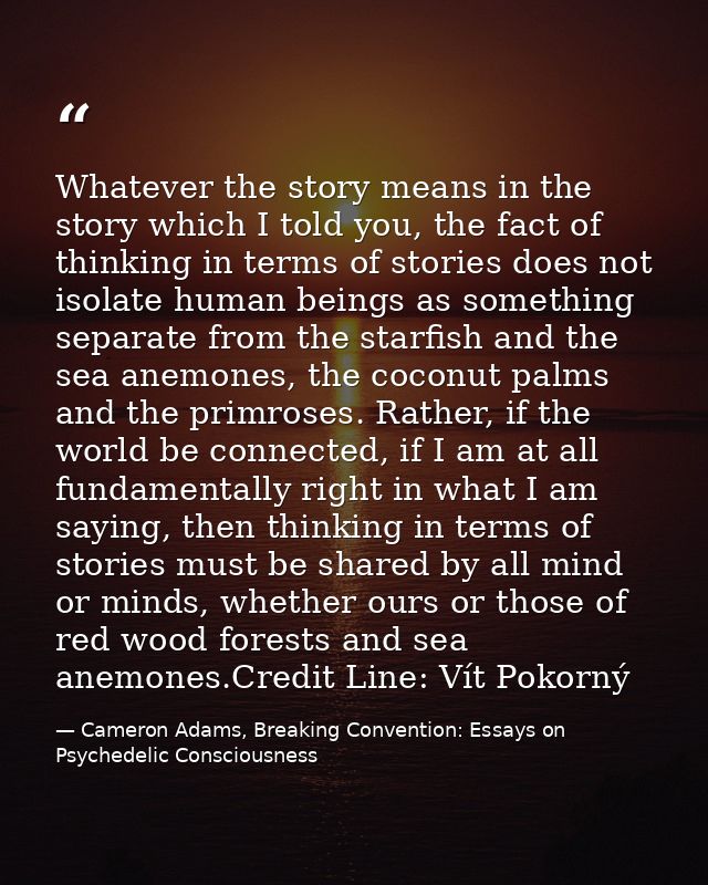 Whatever the story means in the story which I told you, the fact of thinking in terms of stories does not isolate human  — Cameron Adams, Breaking Convention: Essays on Psychedelic Consciousness