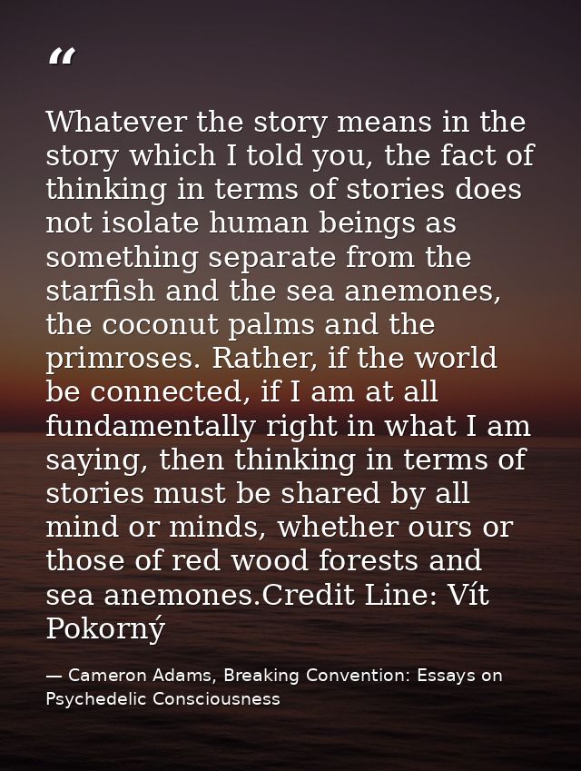 Whatever the story means in the story which I told you, the fact of thinking in terms of stories does not isolate human  — Cameron Adams, Breaking Convention: Essays on Psychedelic Consciousness