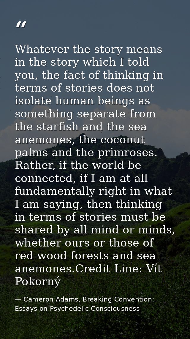 Whatever the story means in the story which I told you, the fact of thinking in terms of stories does not isolate human  — Cameron Adams, Breaking Convention: Essays on Psychedelic Consciousness