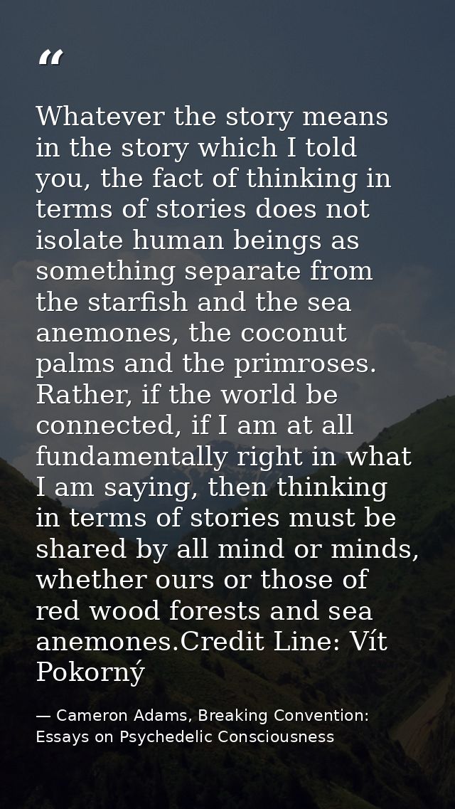 Whatever the story means in the story which I told you, the fact of thinking in terms of stories does not isolate human  — Cameron Adams, Breaking Convention: Essays on Psychedelic Consciousness
