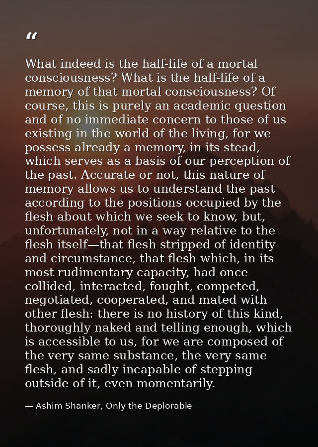 What indeed is the half-life of a mortal consciousness? What is the half-life of a memory of that mortal consciousness?  — Ashim Shanker, Only the Deplorable