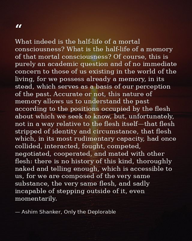 What indeed is the half-life of a mortal consciousness? What is the half-life of a memory of that mortal consciousness?  — Ashim Shanker, Only the Deplorable