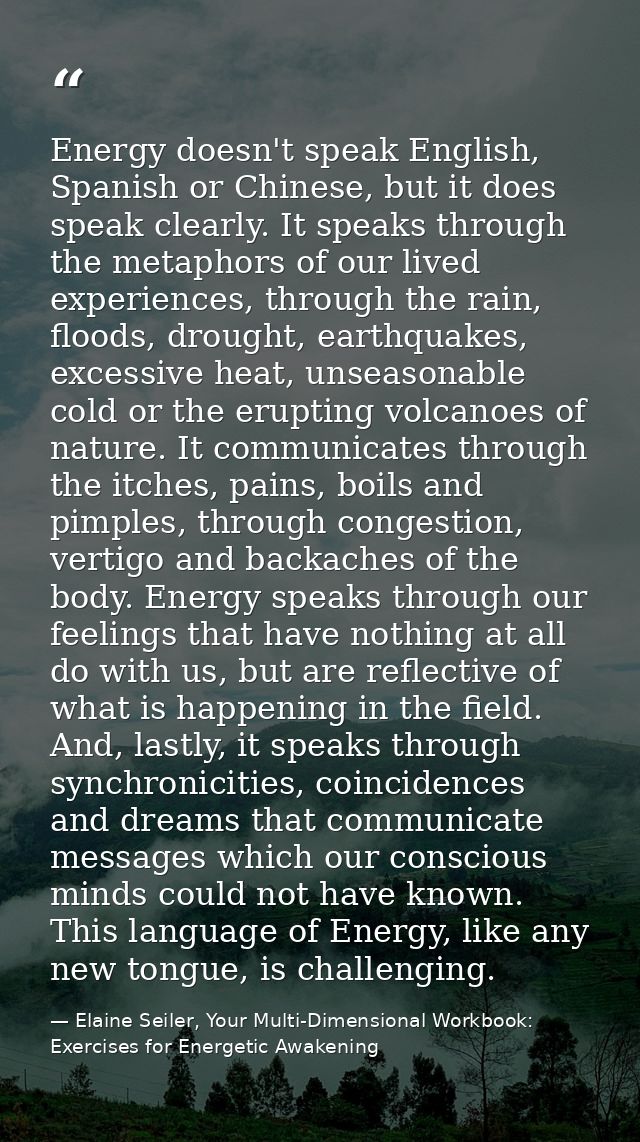 Energy doesn't speak English, Spanish or Chinese, but it does speak clearly. It speaks through the metaphors of our live — Elaine Seiler, Your Multi-Dimensional Workbook: Exercises for Energetic Awakening