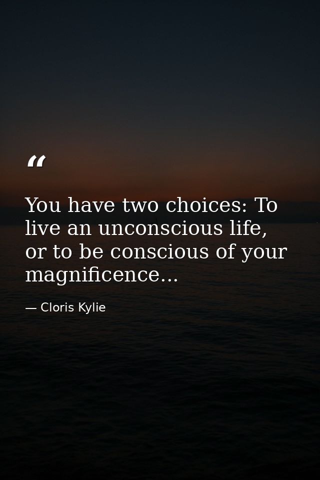 You have two choices: To live an unconscious life, or to be conscious of your magnificence... — Cloris Kylie
