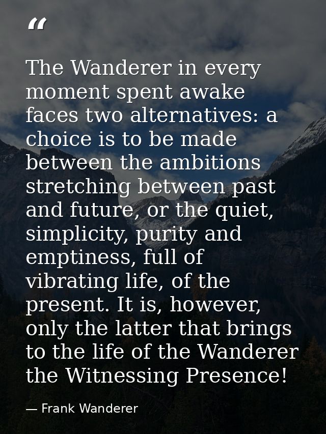 The Wanderer in every moment spent awake faces two alternatives: a choice is to be made between the ambitions stretching — Frank Wanderer