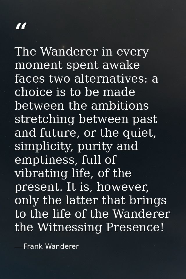 The Wanderer in every moment spent awake faces two alternatives: a choice is to be made between the ambitions stretching — Frank Wanderer