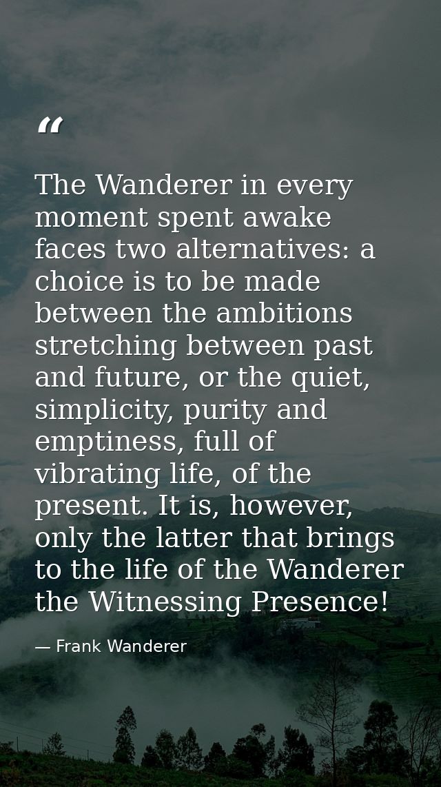 The Wanderer in every moment spent awake faces two alternatives: a choice is to be made between the ambitions stretching — Frank Wanderer