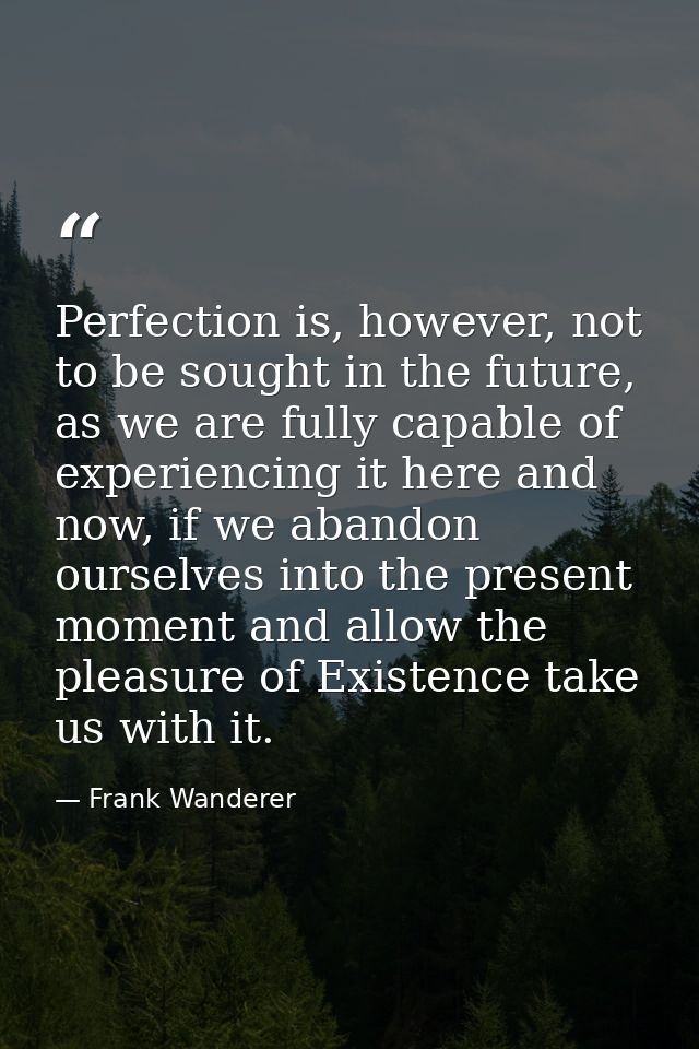 Perfection is, however, not to be sought in the future, as we are fully capable of experiencing it here and now, if we a — Frank Wanderer