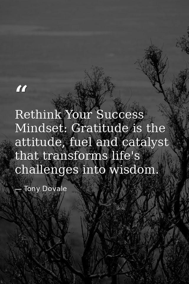 Rethink Your Success Mindset: Gratitude is the attitude, fuel and catalyst that transforms life's challenges into wisdom — Tony Dovale