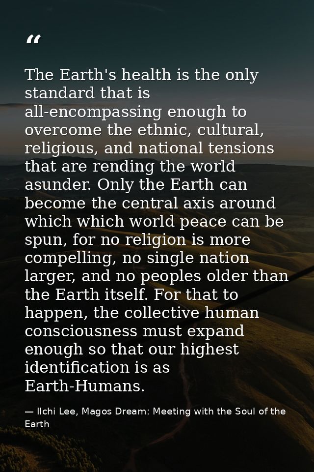 The Earth's health is the only standard that is all-encompassing enough to overcome the ethnic, cultural, religious, and — Ilchi Lee, Magos Dream: Meeting with the Soul of the Earth