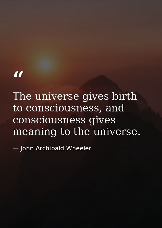 The universe gives birth to consciousness, and consciousness gives meaning to the universe. — John Archibald Wheeler