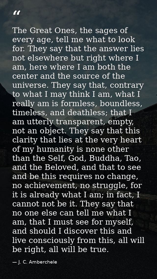 The Great Ones, the sages of every age, tell me what to look for. They say that the answer lies not elsewhere but right  — J. C. Amberchele