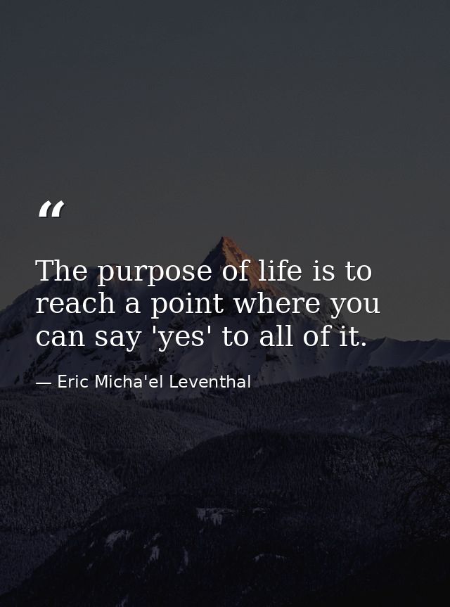 The purpose of life is to reach a point where you can say 'yes' to all of it. — Eric Micha'el Leventhal