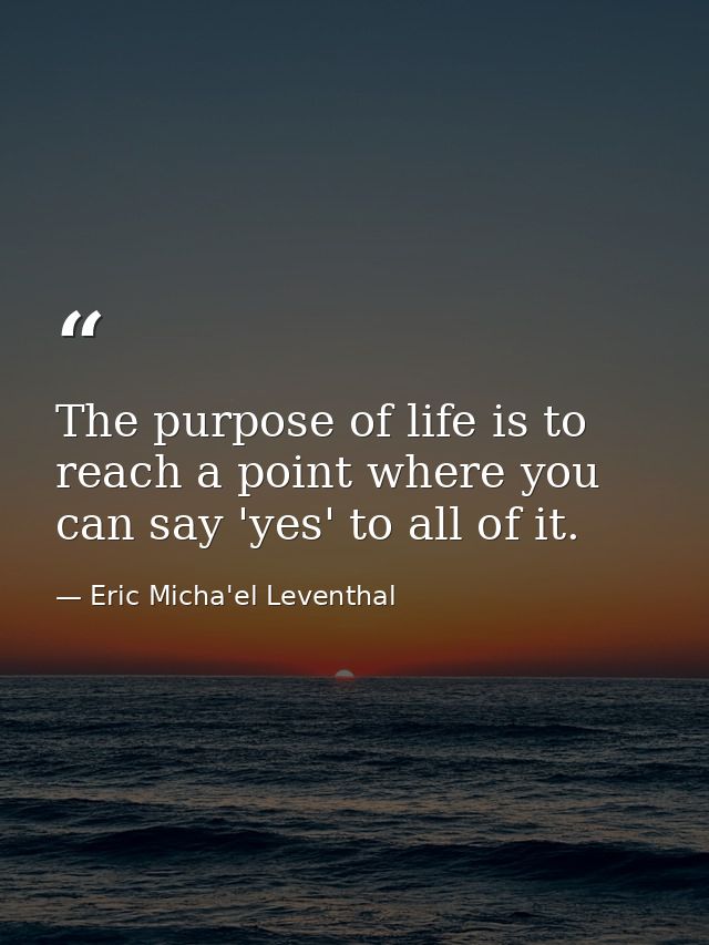 The purpose of life is to reach a point where you can say 'yes' to all of it. — Eric Micha'el Leventhal