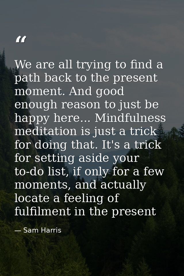 We are all trying to find a path back to the present moment. And good enough reason to just be happy here... Mindfulness — Sam Harris