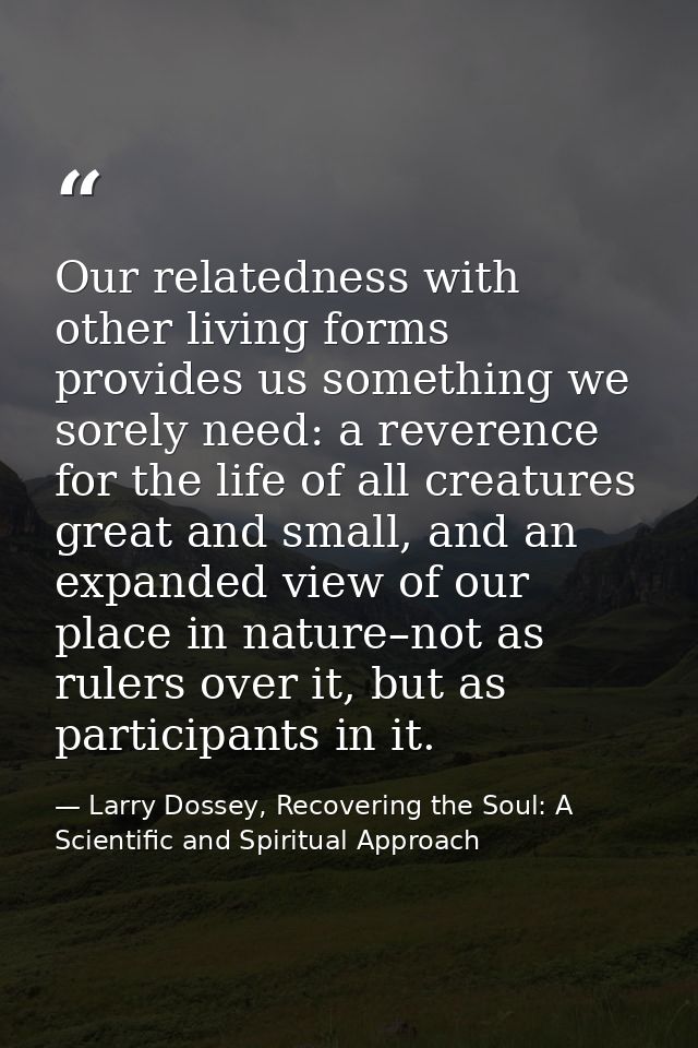 Our relatedness with other living forms provides us something we sorely need: a reverence for the life of all creatures  — Larry Dossey, Recovering the Soul: A Scientific and Spiritual Approach