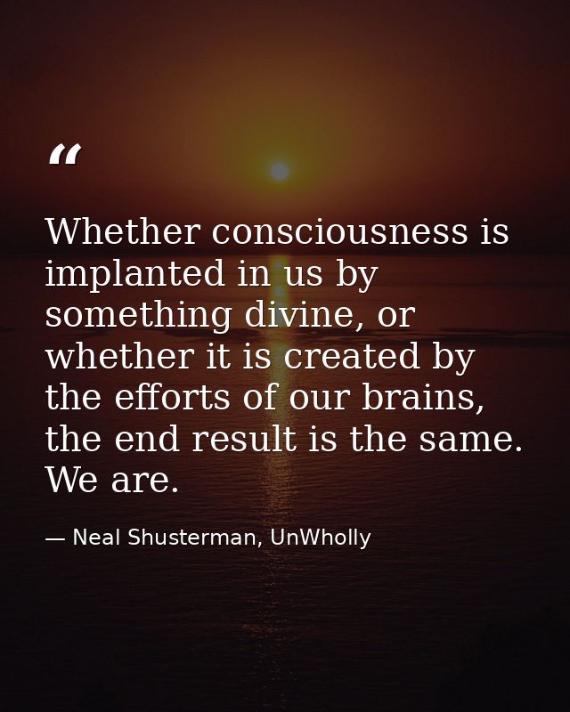 Whether consciousness is implanted in us by something divine, or whether it is created by the efforts of our brains, the — Neal Shusterman, UnWholly