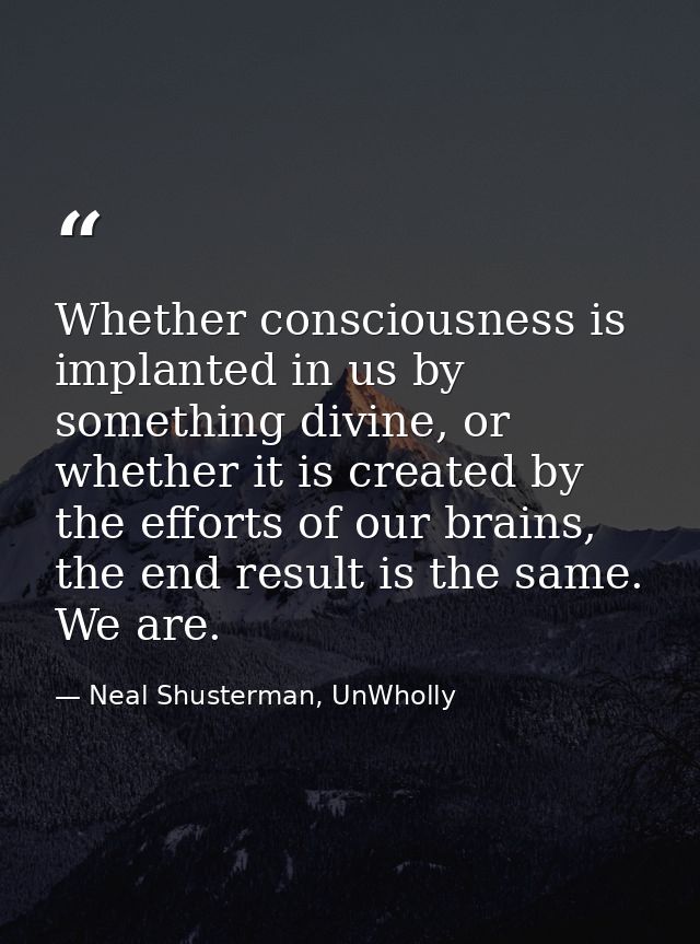 Whether consciousness is implanted in us by something divine, or whether it is created by the efforts of our brains, the — Neal Shusterman, UnWholly