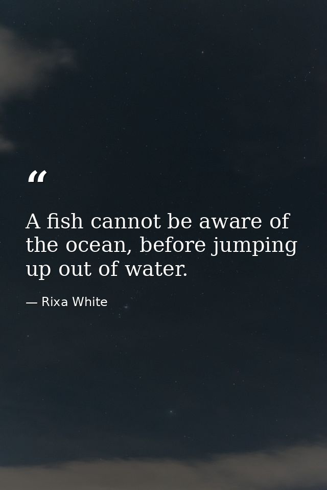 A fish cannot be aware of the ocean, before jumping up out of water. — Rixa White