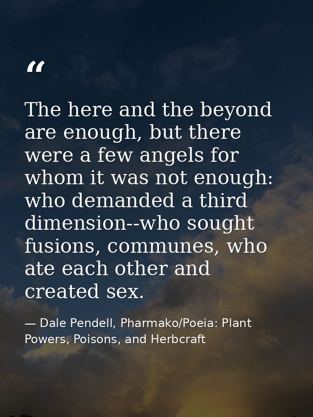 The here and the beyond are enough, but there were a few angels for whom it was not enough: who demanded a third dimensi — Dale Pendell, Pharmako/Poeia: Plant Powers, Poisons, and Herbcraft