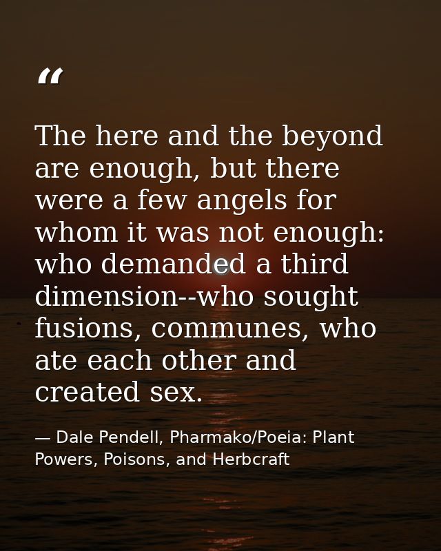 The here and the beyond are enough, but there were a few angels for whom it was not enough: who demanded a third dimensi — Dale Pendell, Pharmako/Poeia: Plant Powers, Poisons, and Herbcraft