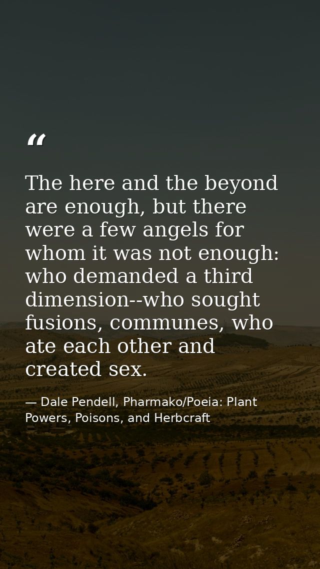 The here and the beyond are enough, but there were a few angels for whom it was not enough: who demanded a third dimensi — Dale Pendell, Pharmako/Poeia: Plant Powers, Poisons, and Herbcraft