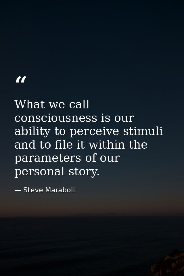 What we call consciousness is our ability to perceive stimuli and to file it within the parameters of our personal story — Steve Maraboli