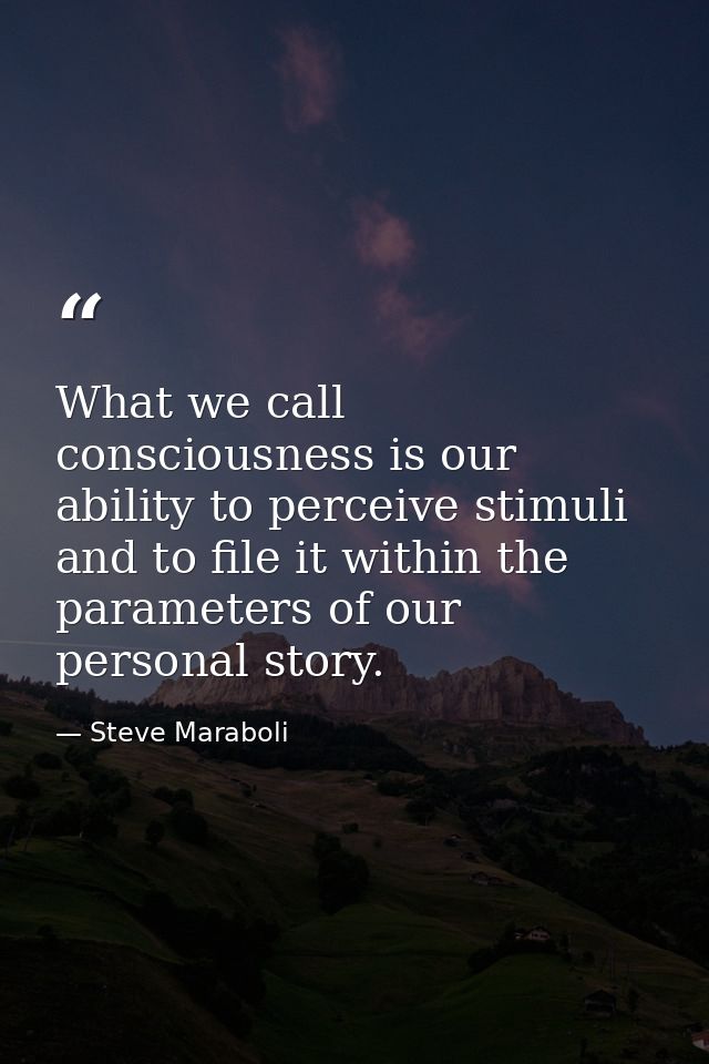 What we call consciousness is our ability to perceive stimuli and to file it within the parameters of our personal story — Steve Maraboli