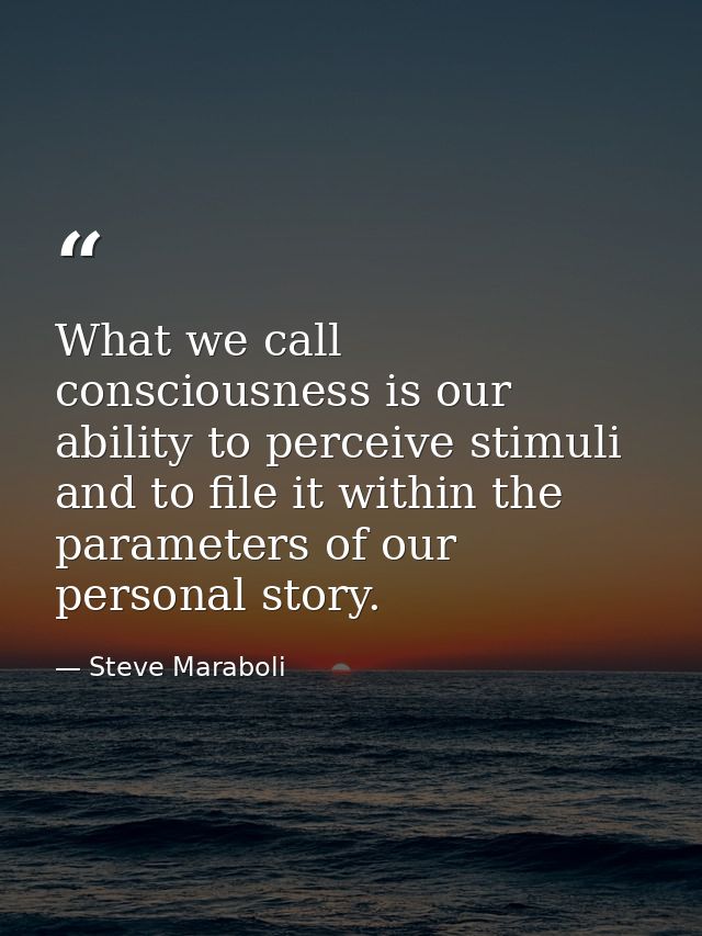 What we call consciousness is our ability to perceive stimuli and to file it within the parameters of our personal story — Steve Maraboli