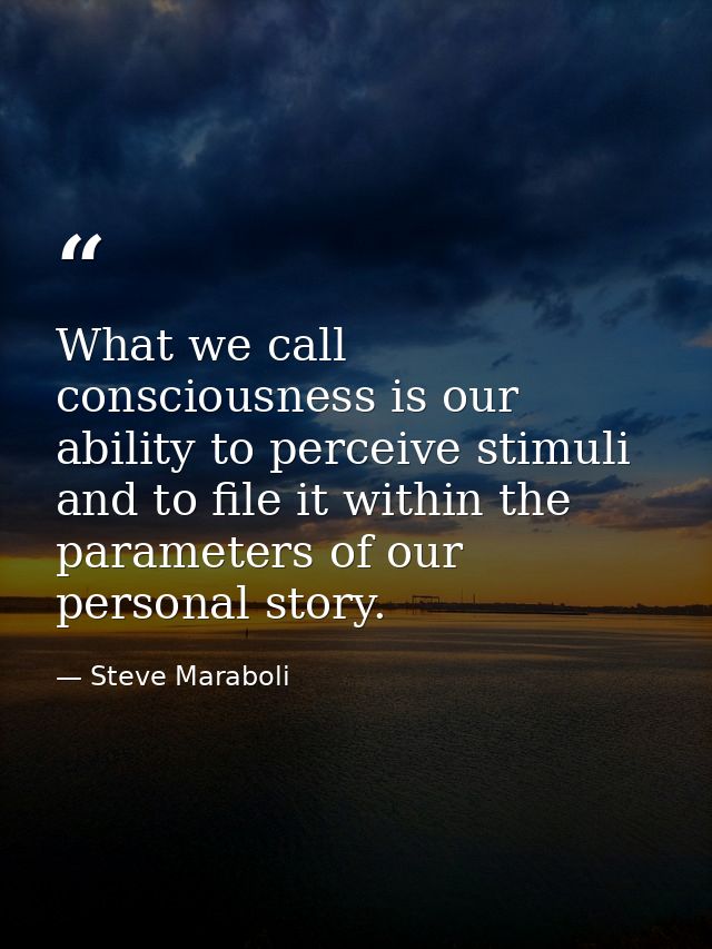 What we call consciousness is our ability to perceive stimuli and to file it within the parameters of our personal story — Steve Maraboli