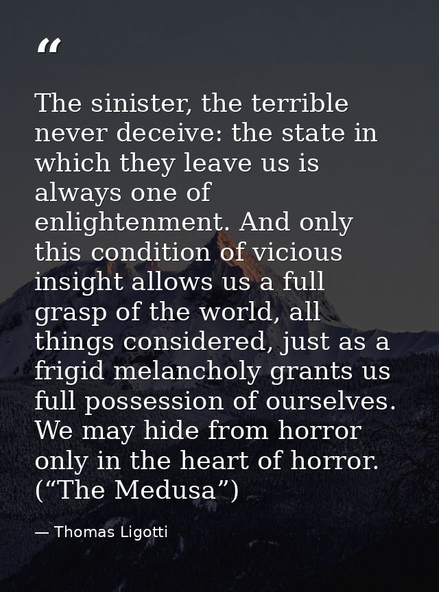 The sinister, the terrible never deceive: the state in which they leave us is always one of enlightenment. And only this — Thomas Ligotti