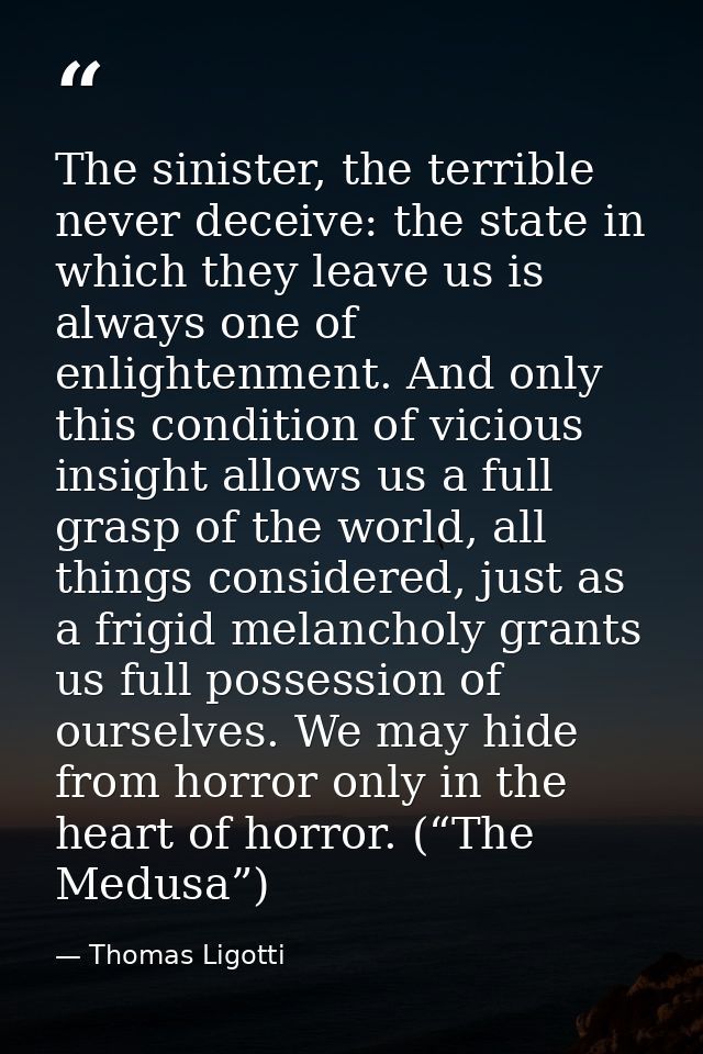 The sinister, the terrible never deceive: the state in which they leave us is always one of enlightenment. And only this — Thomas Ligotti