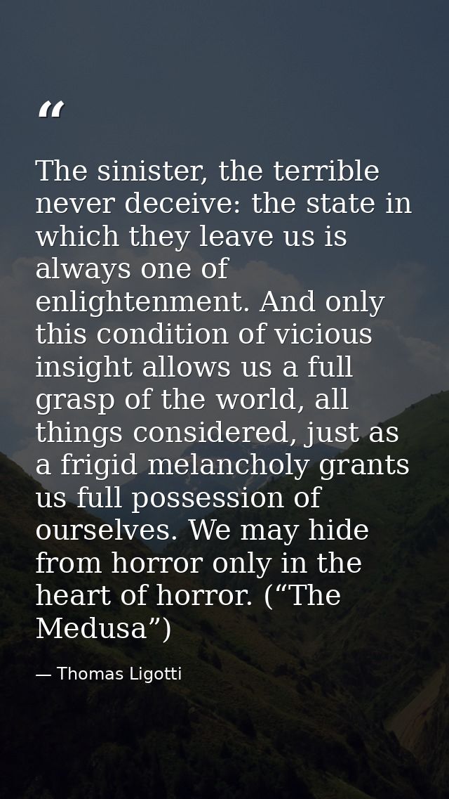 The sinister, the terrible never deceive: the state in which they leave us is always one of enlightenment. And only this — Thomas Ligotti