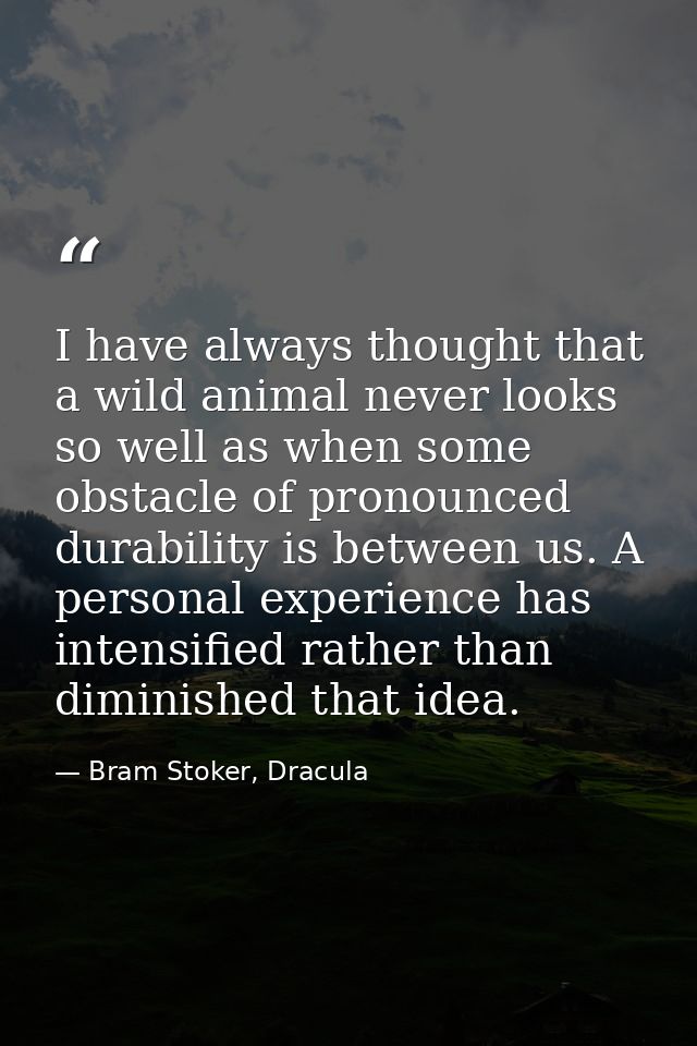 I have always thought that a wild animal never looks so well as when some obstacle of pronounced durability is between u — Bram Stoker, Dracula