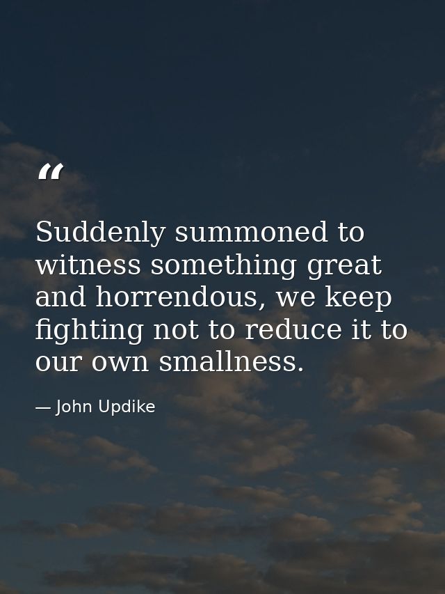 Suddenly summoned to witness something great and horrendous, we keep fighting not to reduce it to our own smallness. — John Updike
