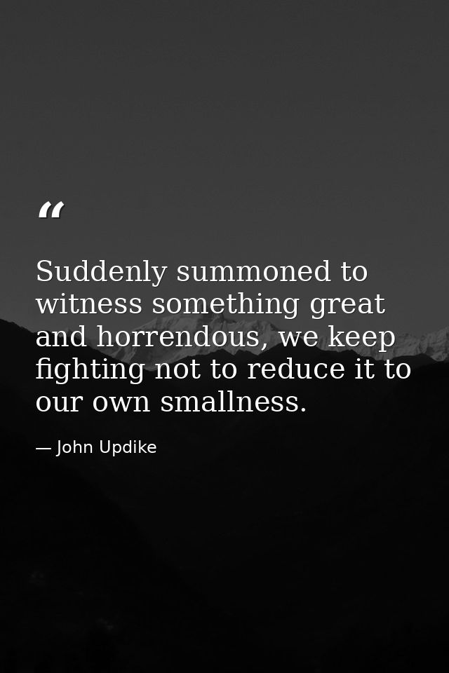 Suddenly summoned to witness something great and horrendous, we keep fighting not to reduce it to our own smallness. — John Updike