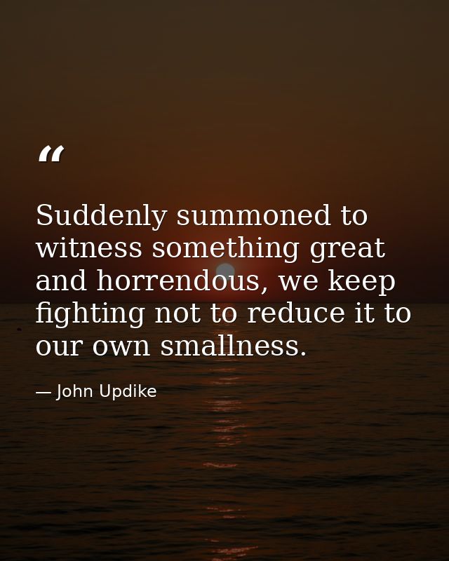 Suddenly summoned to witness something great and horrendous, we keep fighting not to reduce it to our own smallness. — John Updike
