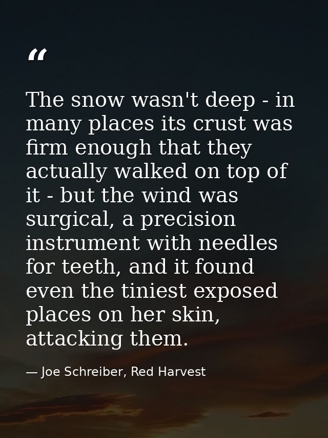 The snow wasn't deep - in many places its crust was firm enough that they actually walked on top of it - but the wind wa — Joe Schreiber, Red Harvest
