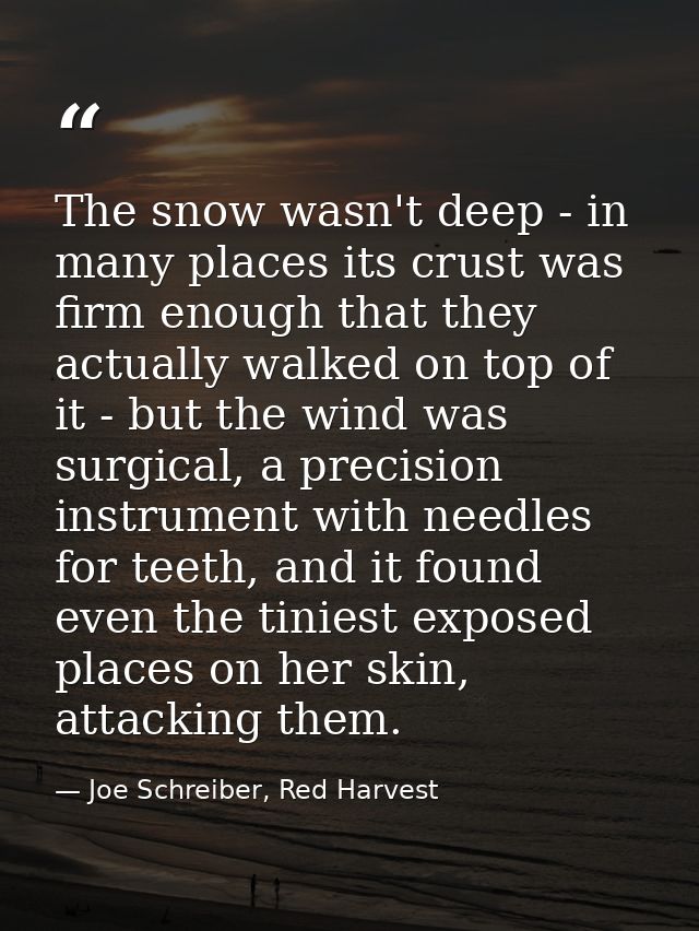 The snow wasn't deep - in many places its crust was firm enough that they actually walked on top of it - but the wind wa — Joe Schreiber, Red Harvest