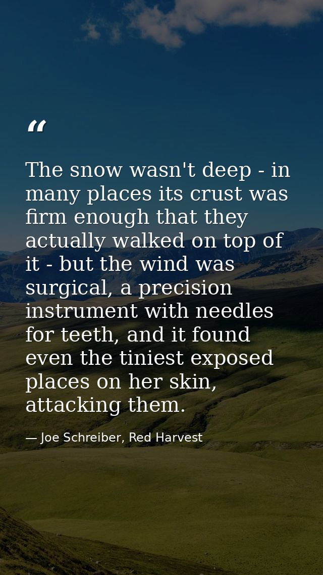 The snow wasn't deep - in many places its crust was firm enough that they actually walked on top of it - but the wind wa — Joe Schreiber, Red Harvest