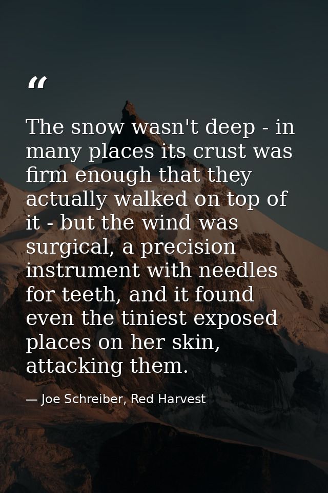The snow wasn't deep - in many places its crust was firm enough that they actually walked on top of it - but the wind wa — Joe Schreiber, Red Harvest
