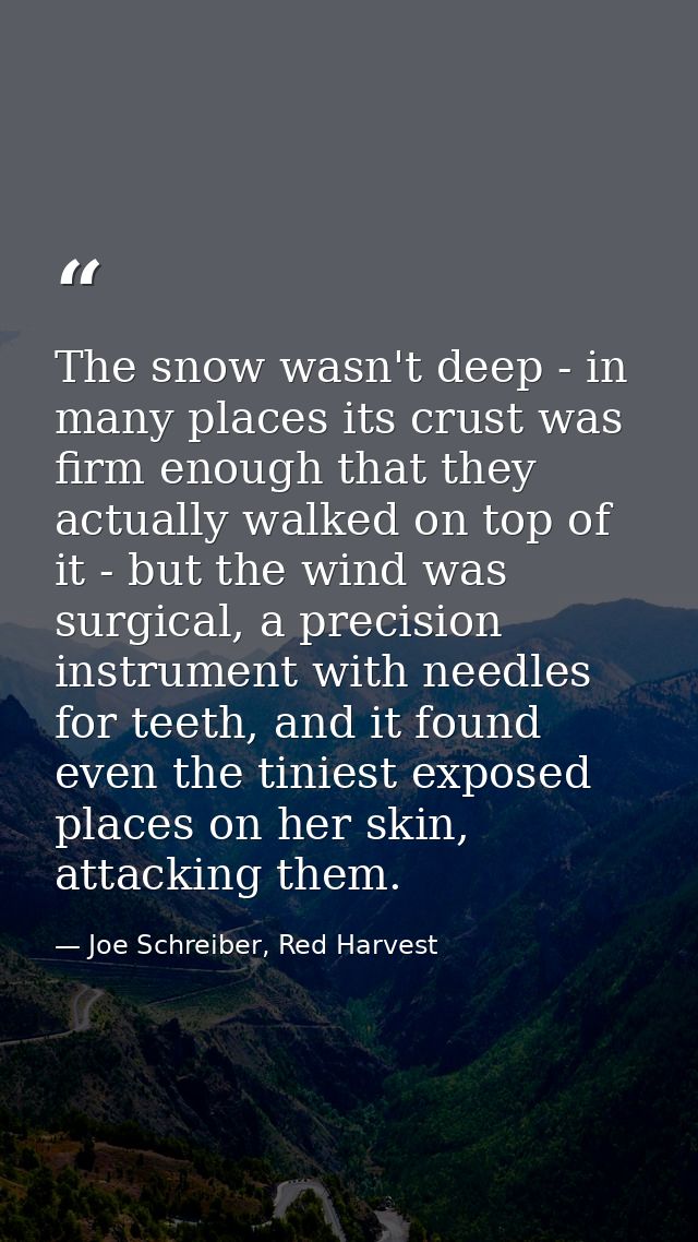 The snow wasn't deep - in many places its crust was firm enough that they actually walked on top of it - but the wind wa — Joe Schreiber, Red Harvest