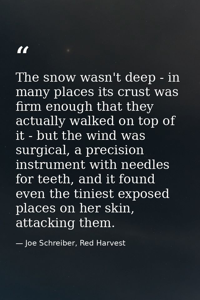 The snow wasn't deep - in many places its crust was firm enough that they actually walked on top of it - but the wind wa — Joe Schreiber, Red Harvest