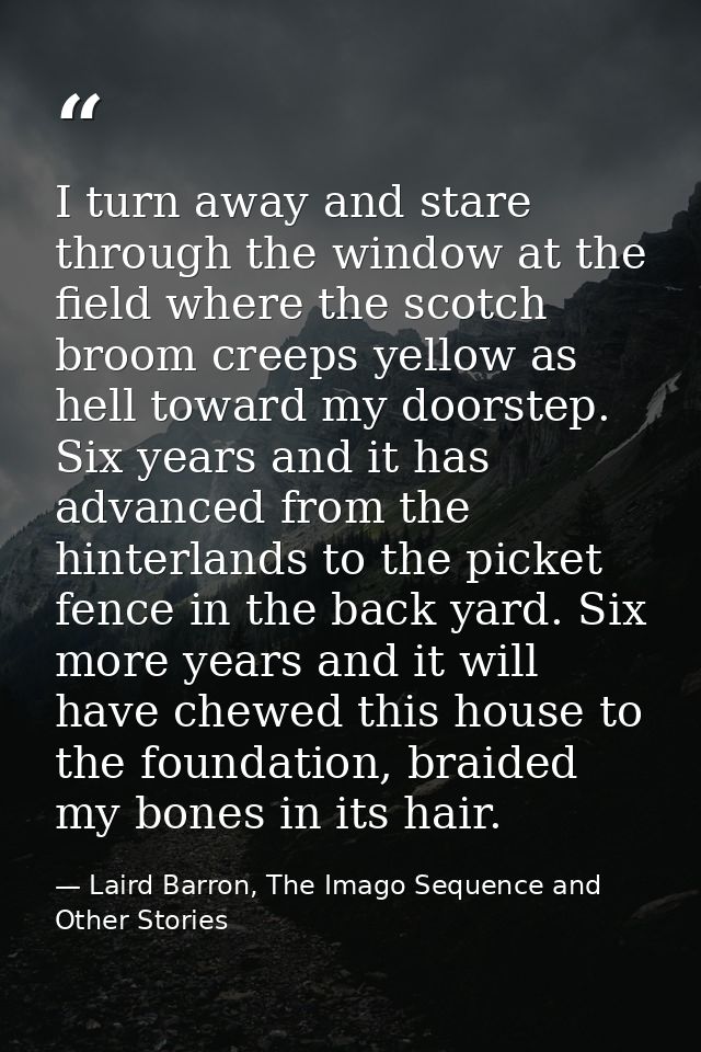 I turn away and stare through the window at the field where the scotch broom creeps yellow as hell toward my doorstep. S — Laird Barron, The Imago Sequence and Other Stories