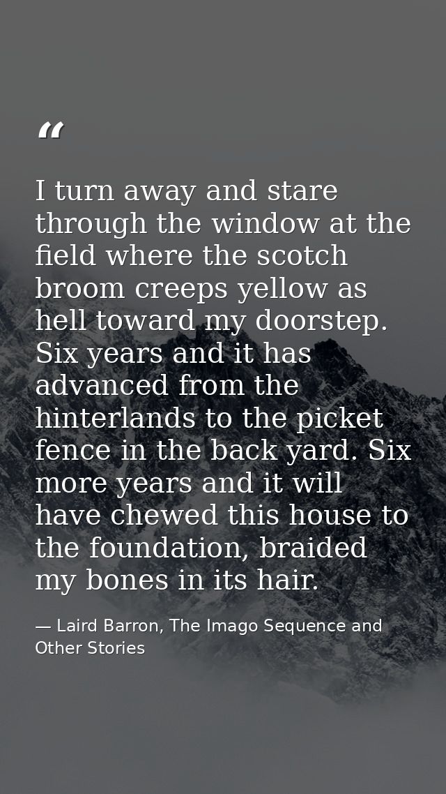 I turn away and stare through the window at the field where the scotch broom creeps yellow as hell toward my doorstep. S — Laird Barron, The Imago Sequence and Other Stories