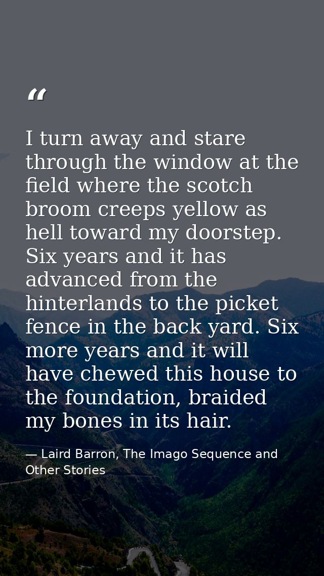 I turn away and stare through the window at the field where the scotch broom creeps yellow as hell toward my doorstep. S — Laird Barron, The Imago Sequence and Other Stories