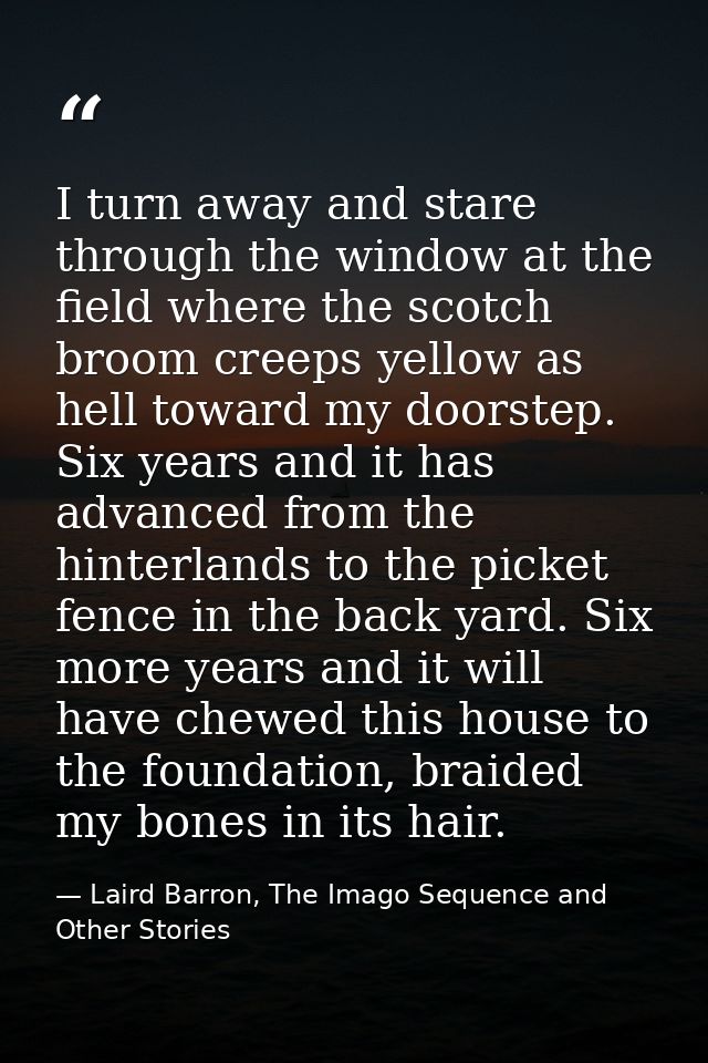 I turn away and stare through the window at the field where the scotch broom creeps yellow as hell toward my doorstep. S — Laird Barron, The Imago Sequence and Other Stories